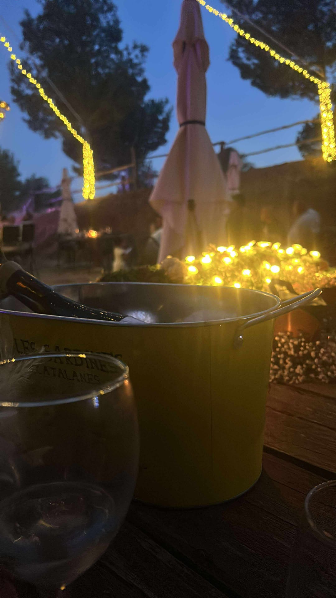 WhatsApp-Image-2025-07-21-a-22.26.58_fcdf5cfb