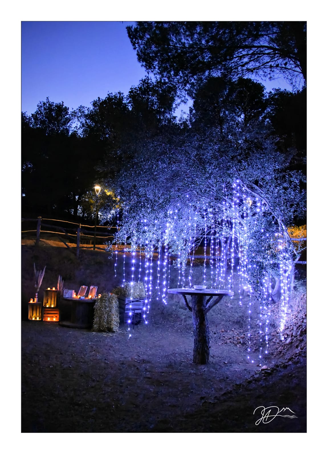 WhatsApp-Image-2025-07-21-a-22.27.09_fdbfad11