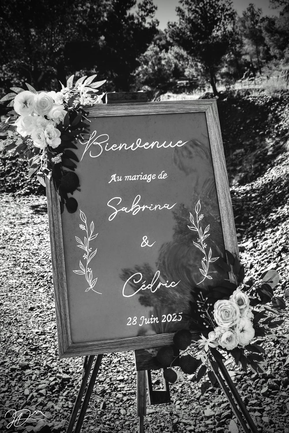 WhatsApp-Image-2025-07-21-a-22.27.10_f799d70b